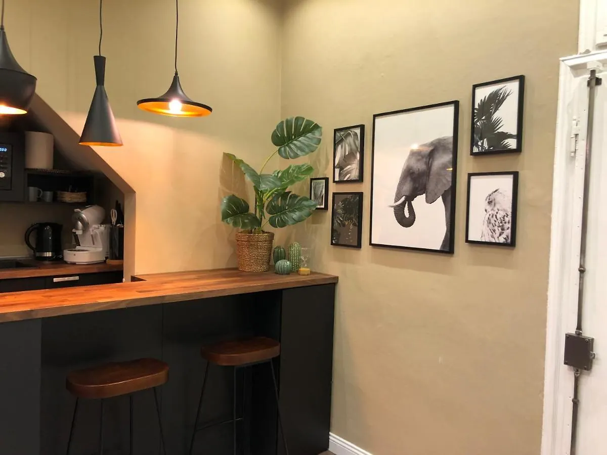 Jungle Suite Mood Behind Piazza Signoria Florence